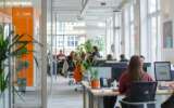 Modern office space with employees working at desks, featuring glass partitions and potted plants