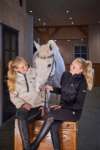 C2E story case fashion clothing for riding a horse